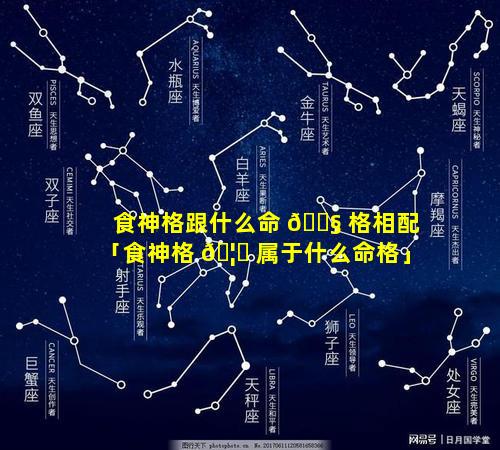 食神格跟什么命 🐧 格相配「食神格 🦆 属于什么命格」